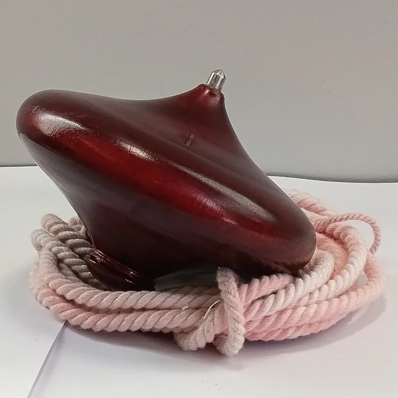 Malaysian plate spinning top