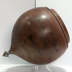 Baldufa géante by Xisco